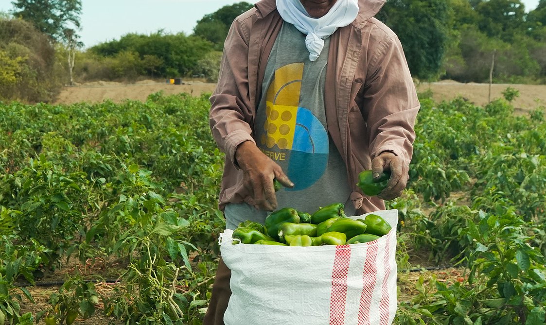 La Fruta Exótica que Revolucionará tu Salud