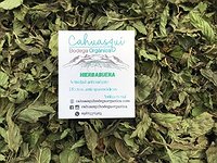 Hierba buena/  hojas seleccionadas