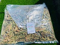 Hierba Luisa
