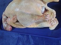 Pollos faenados