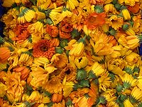 Caléndula/flores seleccionadas