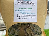 Laurel/hojas seleccionadas