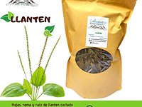 Llanten