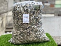 Salvia Azul