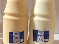 Yogurt de Guanábana 1L