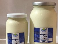 Yogurt Griego 0.5L