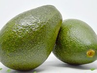 aguacate