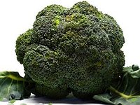 BROCOLI