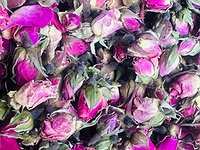 Capullos de rosas