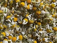 Manzanilla/tallos y flores