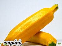 ZUQUINI  AMARILLO